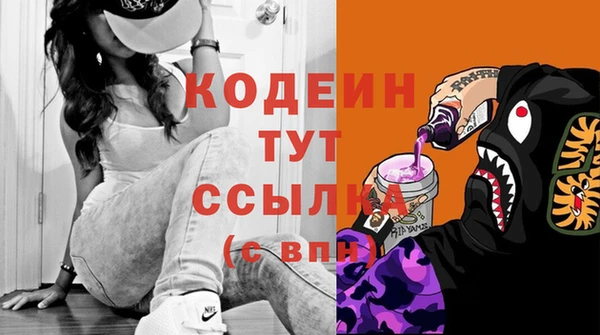 индика Вязники